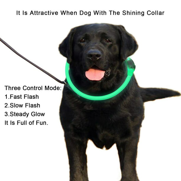 Adjustable Black Strap Fashion LED Light Night Safety Collar For Pet Dog